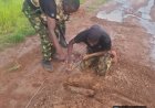 OPFY Troops Dispose Terrorist IED Planted In Zamfara