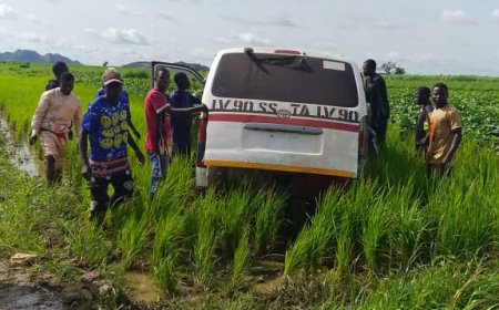 Security Forces Rescue 33 Passengers Kidnapped Along Funtua-Gusau Road