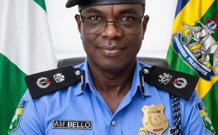 Police, Military Kill Seventeen Bandits After Highway Attack in Zamfara 