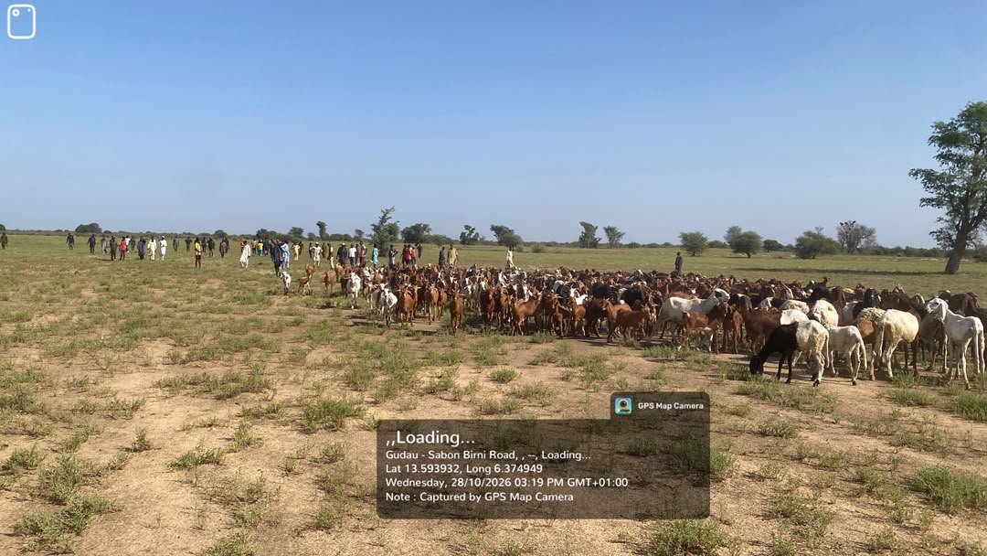 OPFY Troops Thwart Ambush, Recover 520 Cows, Kill 2 Bandits in Northwest 