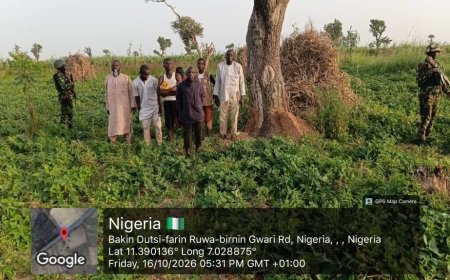 FANSAN YAMMA Troops Rescue 27 Kidnapped Victims In Katsina