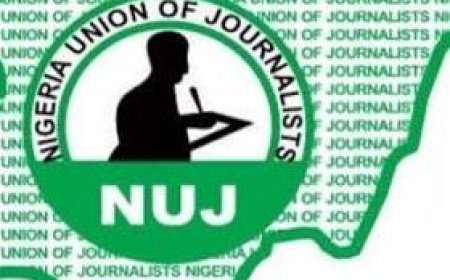 Stop Bullying Press: NUJ Fires Warning at Kaduna Police Over Farida Isiak's Ordeal